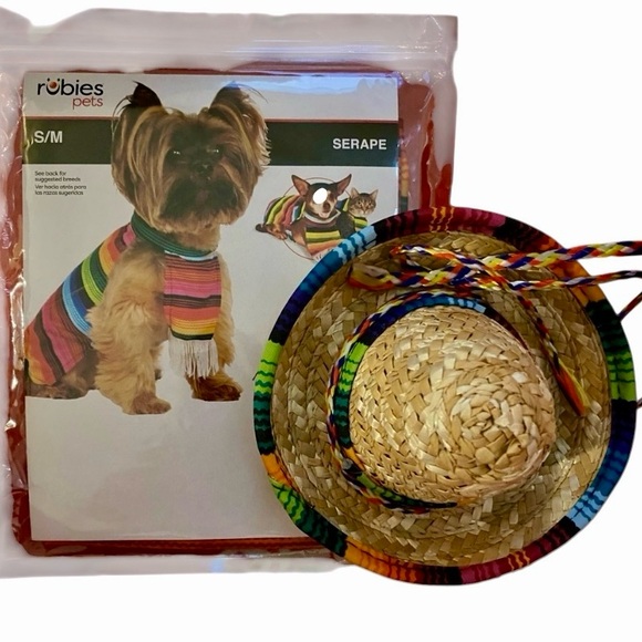 🎉HP🎉 Cinco de Mayo! 🆕 Sombrero & Serape set - Picture 3 of 3